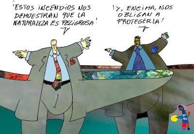 Perros y coches contra un toro en Guadalajara. Perros y coches contra un toro en Guadalajara.