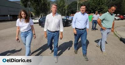 Perros y coches contra un toro en Guadalajara.