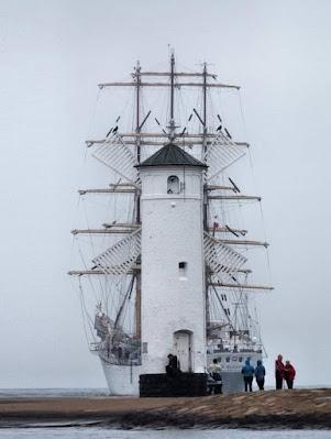 Perros y coches contra un toro en Guadalajara. Perros y coches contra un toro en Guadalajara.