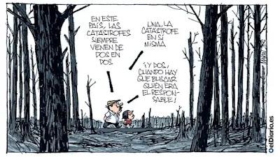Perros y coches contra un toro en Guadalajara. Perros y coches contra un toro en Guadalajara.