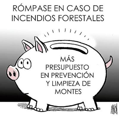 Perros y coches contra un toro en Guadalajara. Perros y coches contra un toro en Guadalajara.