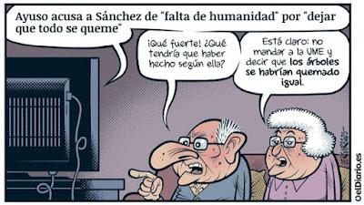 Perros y coches contra un toro en Guadalajara. Perros y coches contra un toro en Guadalajara.