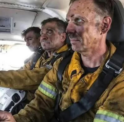 Perros y coches contra un toro en Guadalajara. Perros y coches contra un toro en Guadalajara.