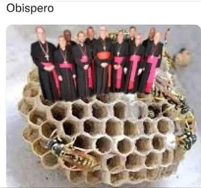 Perros y coches contra un toro en Guadalajara. Perros y coches contra un toro en Guadalajara.