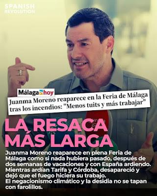 Perros y coches contra un toro en Guadalajara. Perros y coches contra un toro en Guadalajara.