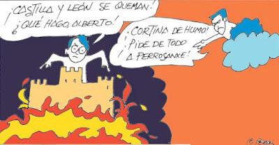 Perros y coches contra un toro en Guadalajara. Perros y coches contra un toro en Guadalajara.