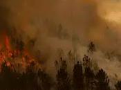 España sigue ardiendo.