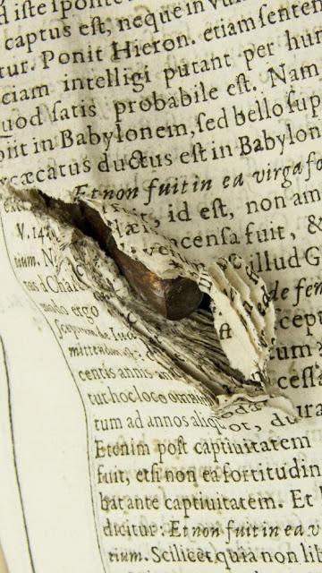 Libros para salvar la República.