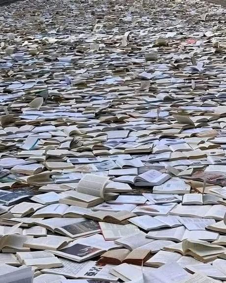 Libros para salvar la República. Libros para salvar la República.