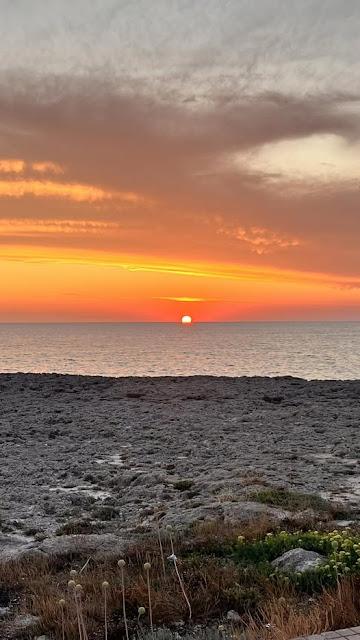 La masificación en el mar balear devora los ecosistemas y las playas