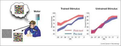 ¿Como engañamos a nuestro cerebro para que aprenda?