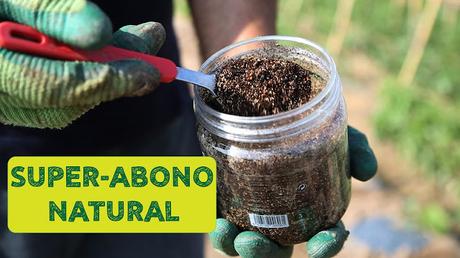 Mejora tus cosechas con este abono natural casero Super abono natural para dar poder a tus plantas