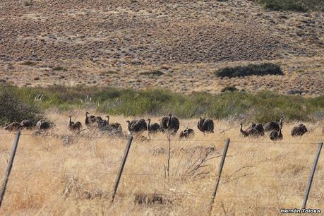 Pasando por el Collón Curá