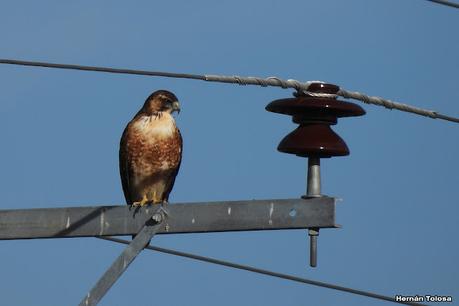 Pasando por el Collón Curá