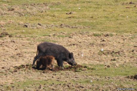 Pasando por el Collón Curá