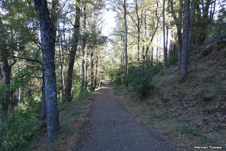 San Martin de los Andes (otoño 2025)