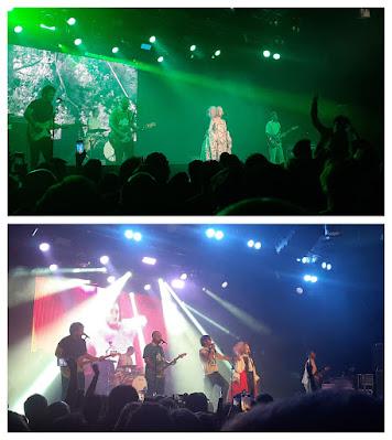 Que no pase un día sin... Los Punsetes