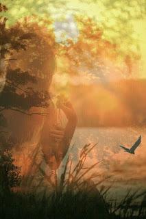 6.286 - OTOÑO ADENTRO... 6.286 - OTOÑO ADENTRO...