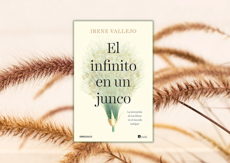 20 frases maravillosas que puedes encontrar en «El infinito en un junco», de Irene Vallejo 20 frases maravillosas que puedes encontrar en «El infinito en un junco», de Irene Vallejo