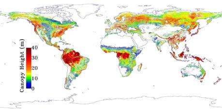 Mapa de los bosques de la Tierra Mapa de los bosques de la Tierra