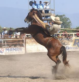 Miguel Pascual, con banderas desplegadas