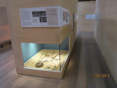 Museos en Berlín (Neus Museum)