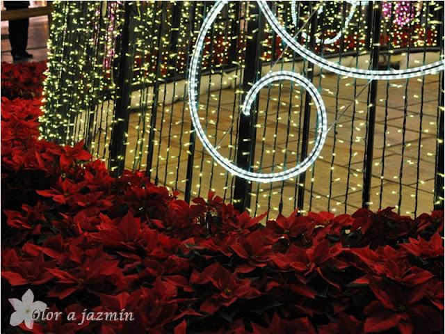 Navidad 2011, iluminación de Málaga