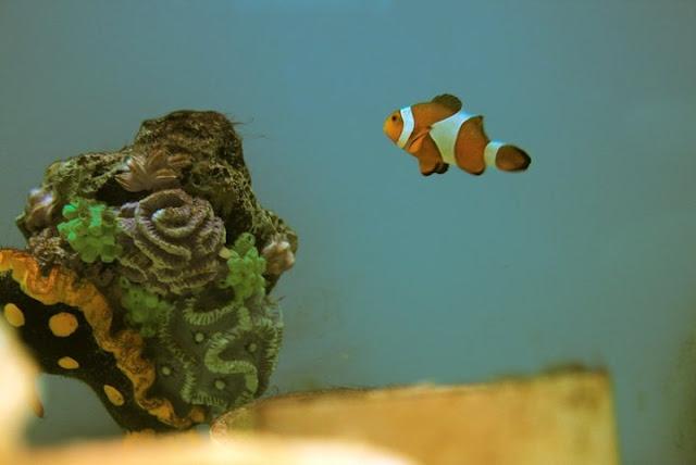 Mantener una mente sana