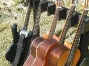 Crea organizador guitarras