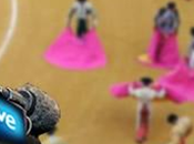 emisión corridas toros sigue aire