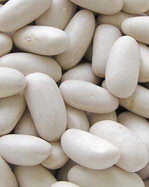 alubias blancas Nutrientes: el hierro en nuestro organismo