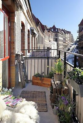 NUEVOS BALCONES RUSTICOS