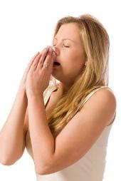 rinitis-alergica rinitis alergica El 20% de los europeos que padecen rinitis alérgica no responde a los tratamientos sintomáticos