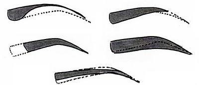 ¡Cejas cejas cejas! ¡Cejas cejas cejas!