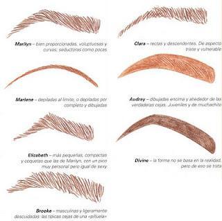 ¡Cejas cejas cejas! ¡Cejas cejas cejas!