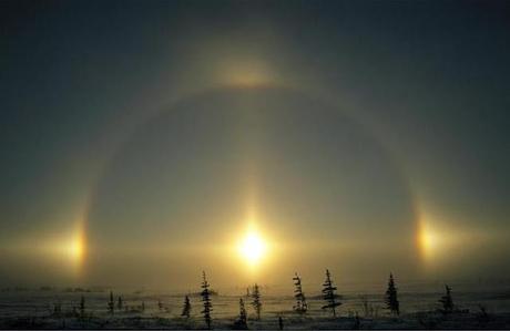 Impresionantes fotos de Norbert Rosing