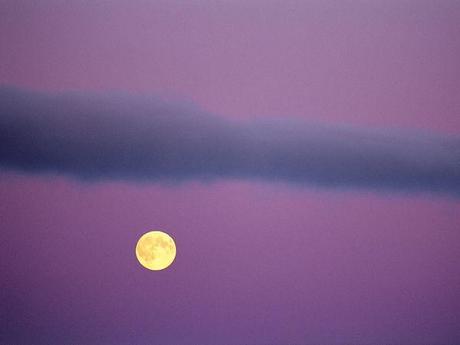 Impresionantes fotos de Norbert Rosing