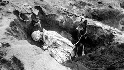 Los Marines Incursores