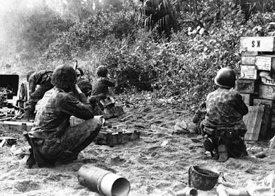 Los Marines Incursores