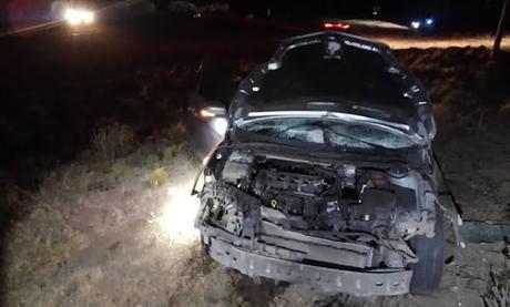 Caballo suelto provocó un accidente en ruta 237 Caballo suelto provocó un accidente en ruta 237