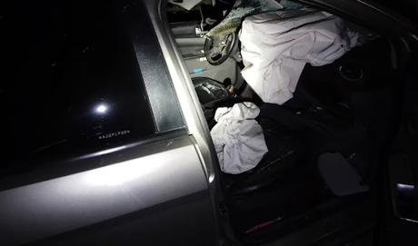 Caballo suelto provocó un accidente en ruta 237 Caballo suelto provocó un accidente en ruta 237