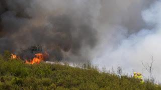 DE PIRÓMANOS Y POLÍTICOS