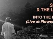 Schimek trip: 'into rainbow (live flower canyon)'