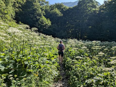 Ibones de Arriel y Respomuso desde la Sarra Ibones de Arriel y Respomuso desde la Sarra