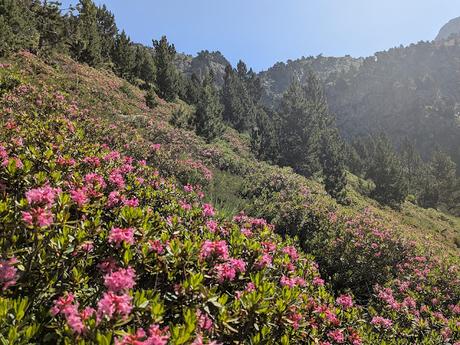Ibones de Arriel y Respomuso desde la Sarra Ibones de Arriel y Respomuso desde la Sarra