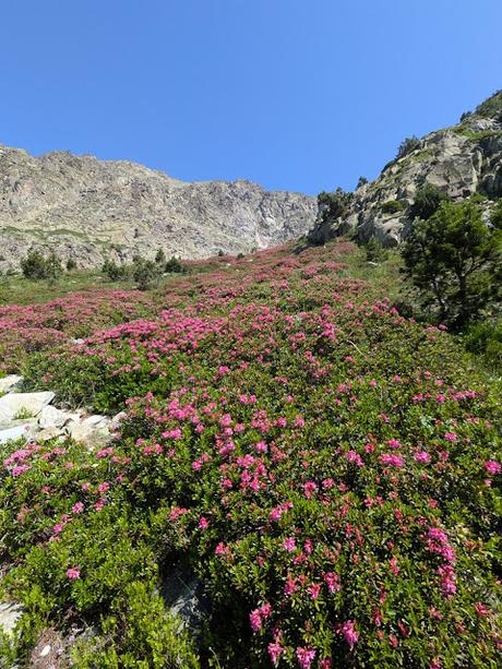 Ibones de Arriel y Respomuso desde la Sarra Ibones de Arriel y Respomuso desde la Sarra