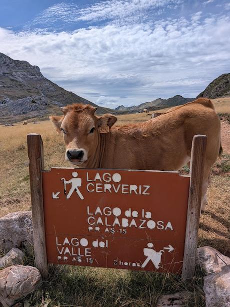 PR-AS 319: Ruta Altas Cumbres de los Lagos +2.000 de Somiedo (Pico Calabazosa)