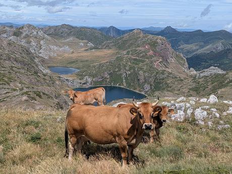 PR-AS 319: Ruta Altas Cumbres de los Lagos +2.000 de Somiedo (Pico Calabazosa)