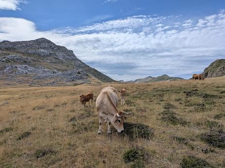 PR-AS 319: Ruta Altas Cumbres de los Lagos +2.000 de Somiedo (Pico Calabazosa)