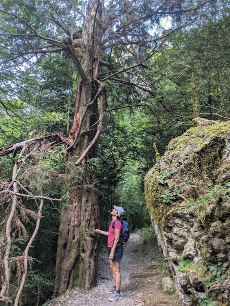Cañon de Añisclo Cañon de Añisclo